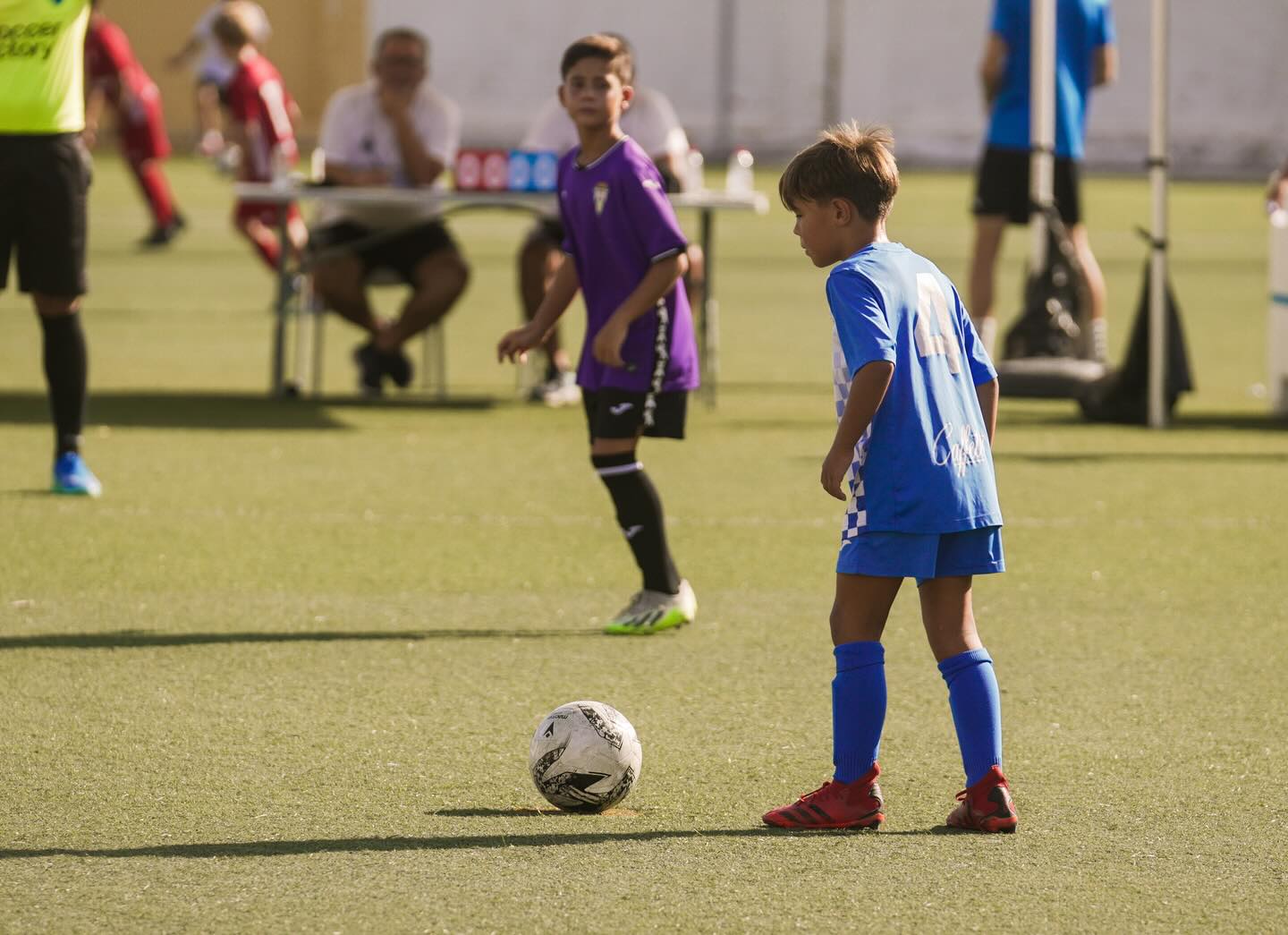 Training Program
