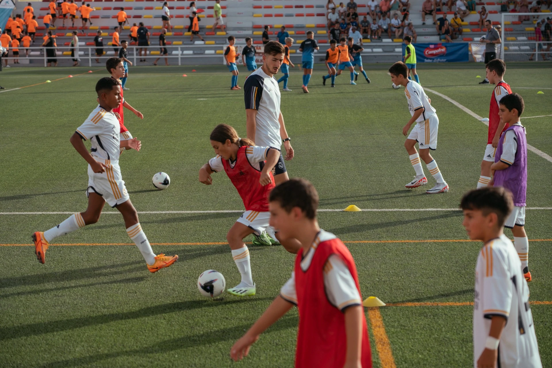 FSF Team Training